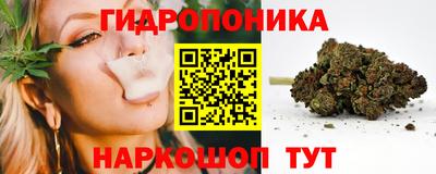 прущие крисы Кулебаки