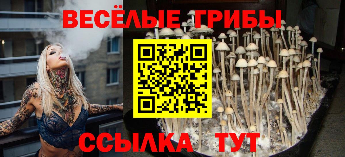 Кисловодск  Псилоцибиновые грибы ЛСД  где купить наркоту  Вход с VPN  Галлюциногенные грибы прущие грибы 