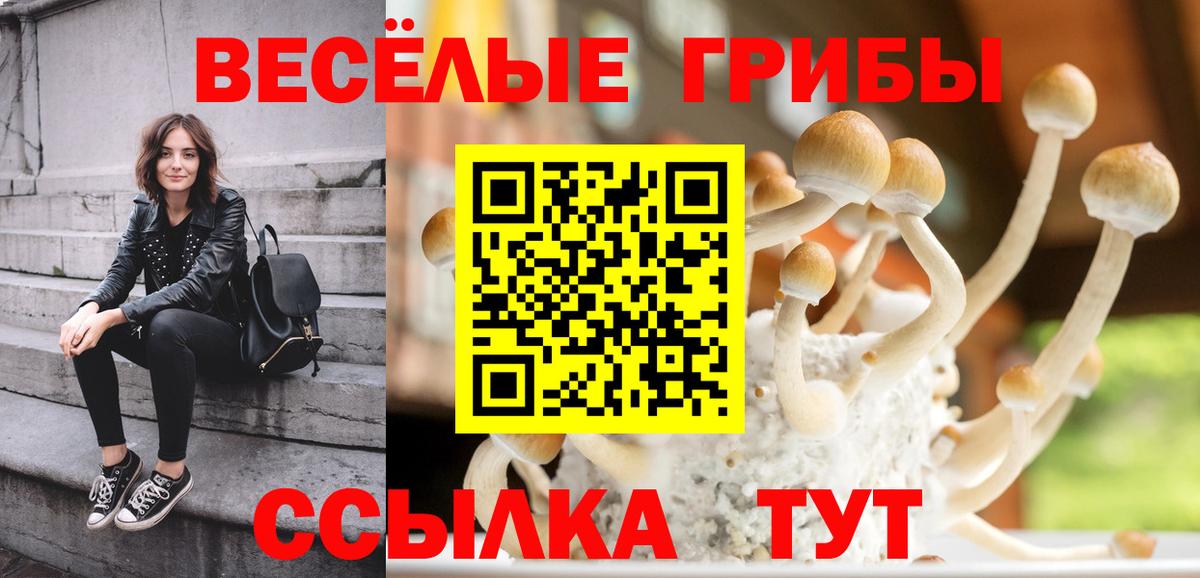 Псилоцибиновые грибы ЛСД Кисловодск